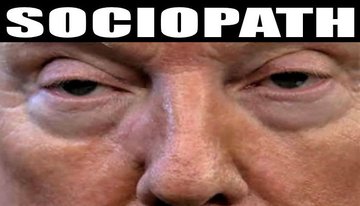 1taoguy's tweet photo. @kingmanmarie39 Trump is under Putin's direction
#Trump lying so much sows distress & divides America
Putin is destroying America from within
#70DaysDeadlyDelay
#Trump's #coronavirus
#TrumpLiesAmericansDie
#SenateCoverup
#GOPBetrayedAmerica
#MAGA #KAG
#BidenHarris2020
#ImpeachTrumpAgain https://t.co/MJPLm6NMbt