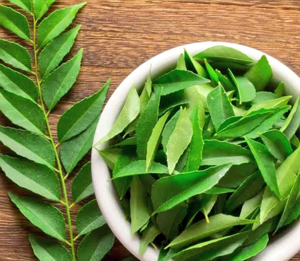The humble curry leaf! Kadipatta! Does wonders to your hair and skin.  In South India, we use it a lot in all our cooking. Even otherwise, it can be consumed raw. Or boiled in water and juiced. Any which way, this is a great medicine! Grows easy in different soil also! 