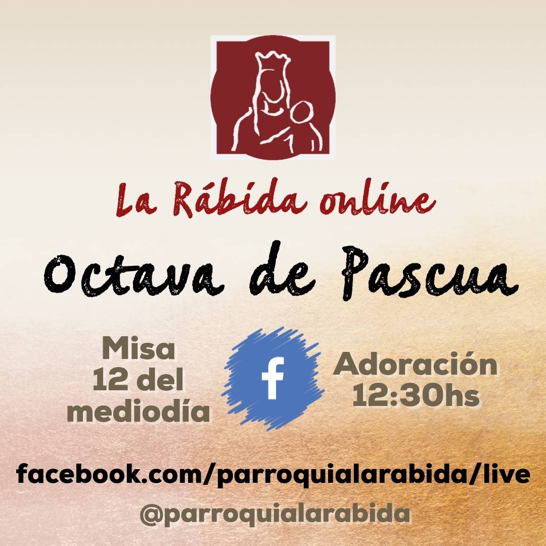 ParroqLaRabida's tweet photo. Octava de Pascua
Todos los días a las 12hs
por La Rabida online https://t.co/CyL1Ge75e4