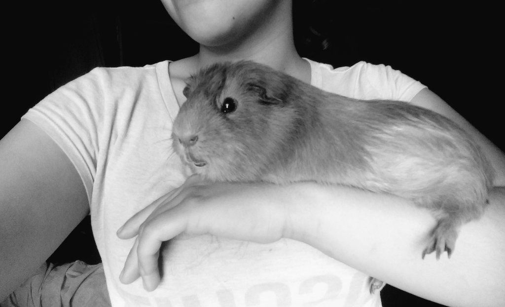 glzktl's tweet photo. Hoy comprendí que el verdadero amor de mi vida no es ni será un ser humano https://t.co/wZs6ciTpq4