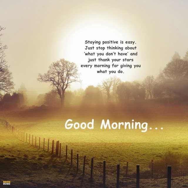 MartinsGardeni1's tweet photo. Thought of the day 💭
#goodmorningeveryone
#postivethoughtsonly 🙂 https://t.co/lD3bmwvEgO