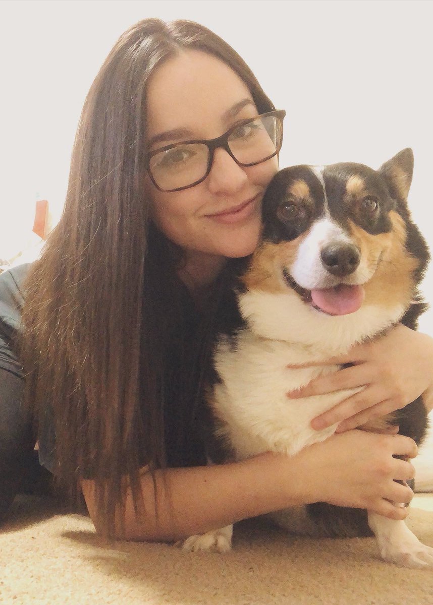 Caroleeeeeeeen's tweet photo. Already on Instagram but whatever my dog is fucken cool lmao #corgs https://t.co/origbIbCMh