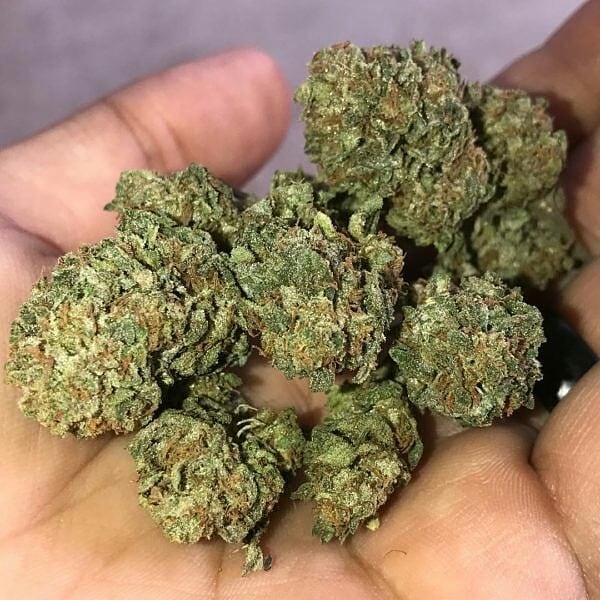 Jamesplug0's tweet photo. livraison discrète dans la France. Pour tous vos besoins contactez-moi via
Snap/mabeuh_98
Wickr/mabeuh98
#Marseille #paris2020 #Lyon #toulouse #Nice #nantes #Strasbourg #Montpellier #Bordeaux #Lille #Rennes #Reims #lehavre #saintetienne #Toulon #grenoble #Angers #Dijon #brest #uk https://t.co/dJvLDdUz8y