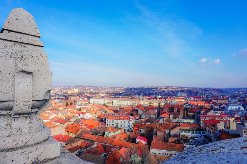 Freedom56Travel tweet media