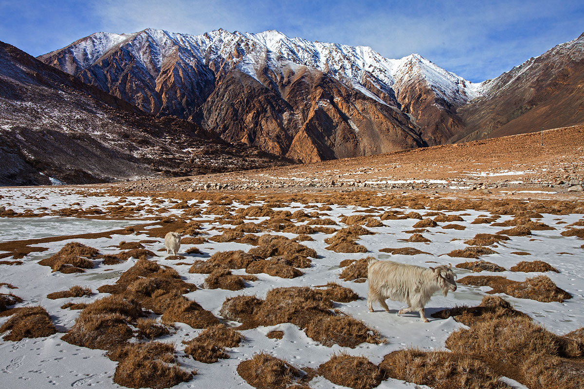 the way and say, "Shall we stop here, there is a lot of ice to lie down on! 24/N