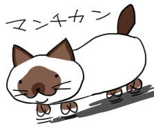 まじめに描いた猫ちゃんも発掘したけど、最近描いてないのでがんばりたい所存 