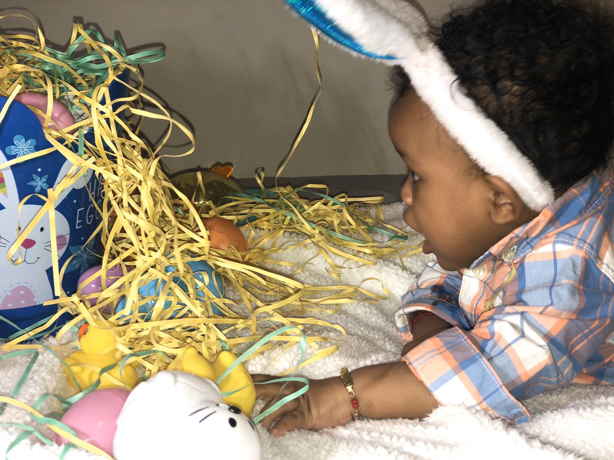 mitzz_s's tweet photo. His first Easter💙💙🐰🎉 https://t.co/II7XkJFEd8