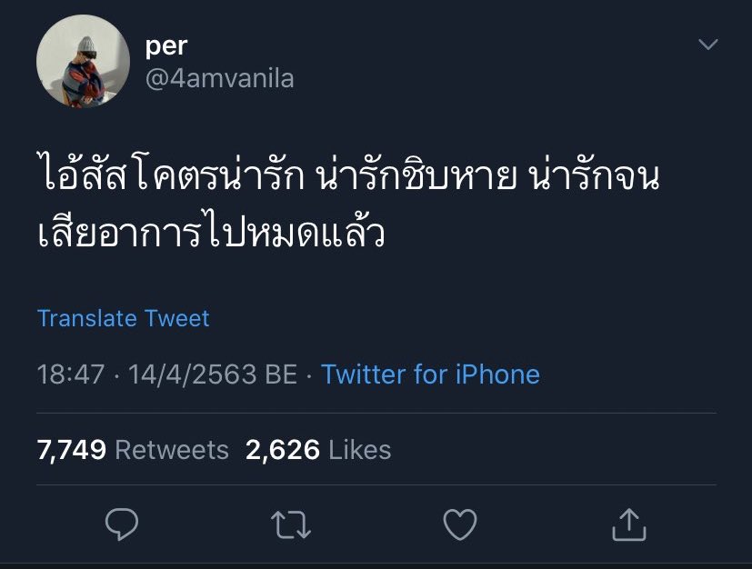✿ 𓐄 𓈒 กุ๊กกาจู ☁️ 🎀 ⸝ ⸝ tweet media