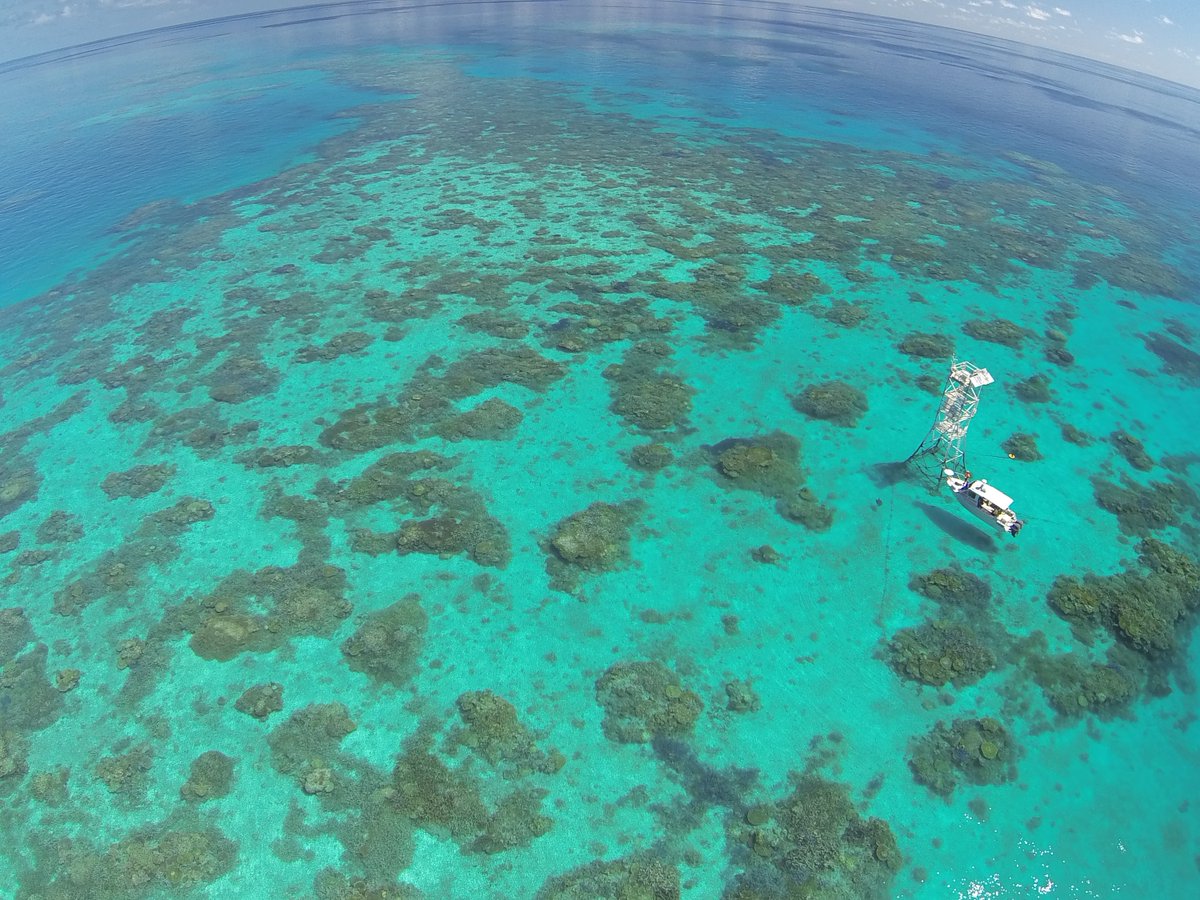 aims_gov_au's tweet photo. We are proud to have helped steer the concept feasibility phase of the #ReefRestoration and #Adaptation Program with an amazing team of experts. The results of this rigorous and comprehensive study will inform the R&amp;D phase and are now available: https://t.co/i1DgL0pxWo https://t.co/uoCwiAQhtA
