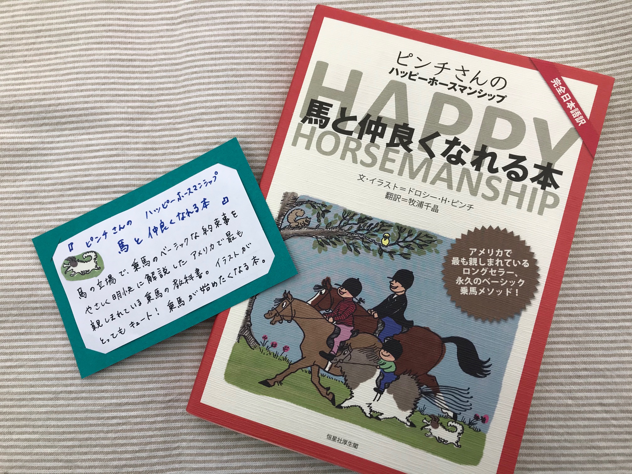 今井書店ふじみ店 キュートなイラストとユーモアたっぷりの解説で読むだけでも楽しいアメリカのロングセラー ピンチさんの 馬と仲良くなれる本 恒星社厚生閣 馬の体の構造や性質から 乗馬の際に気をつけたい事やベーシックな約束事がやさしく明解