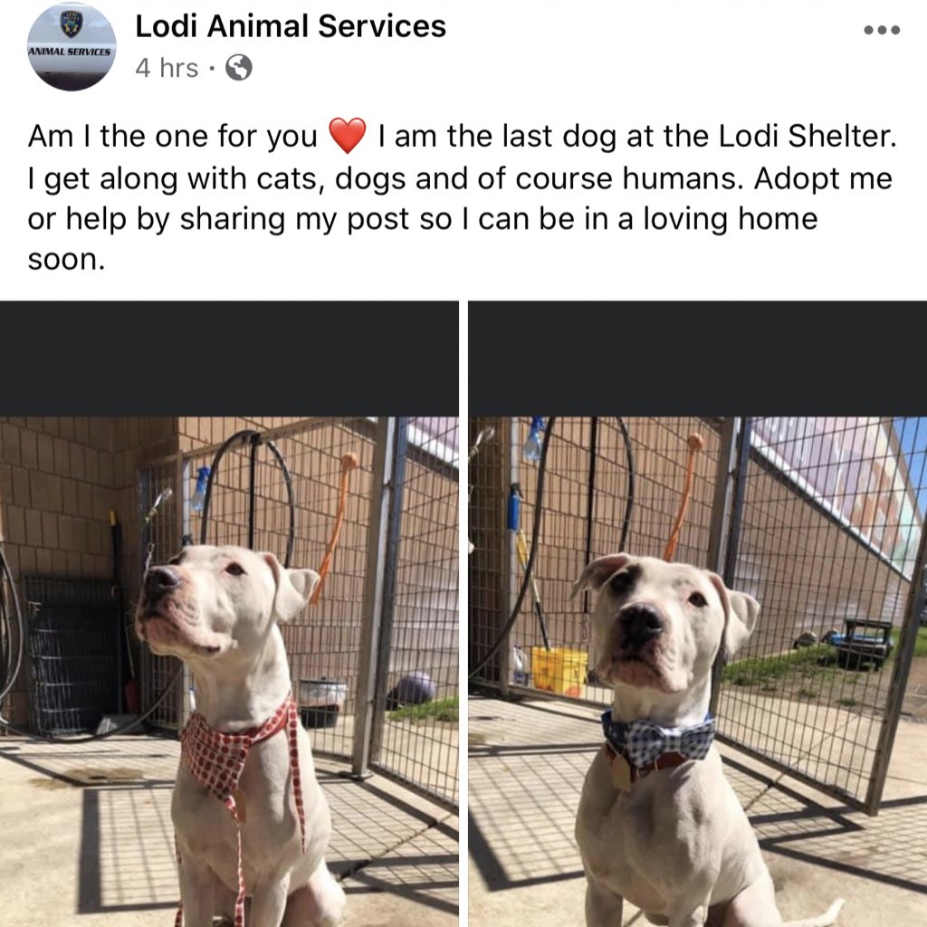 stoney jay ☁️ tweet media