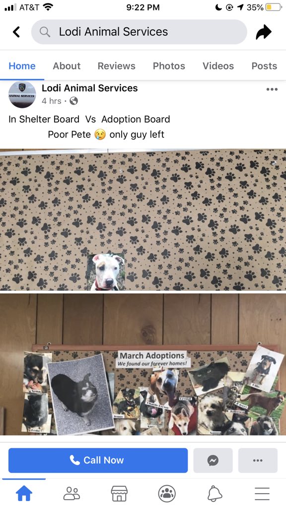 stoney jay ☁️ tweet media