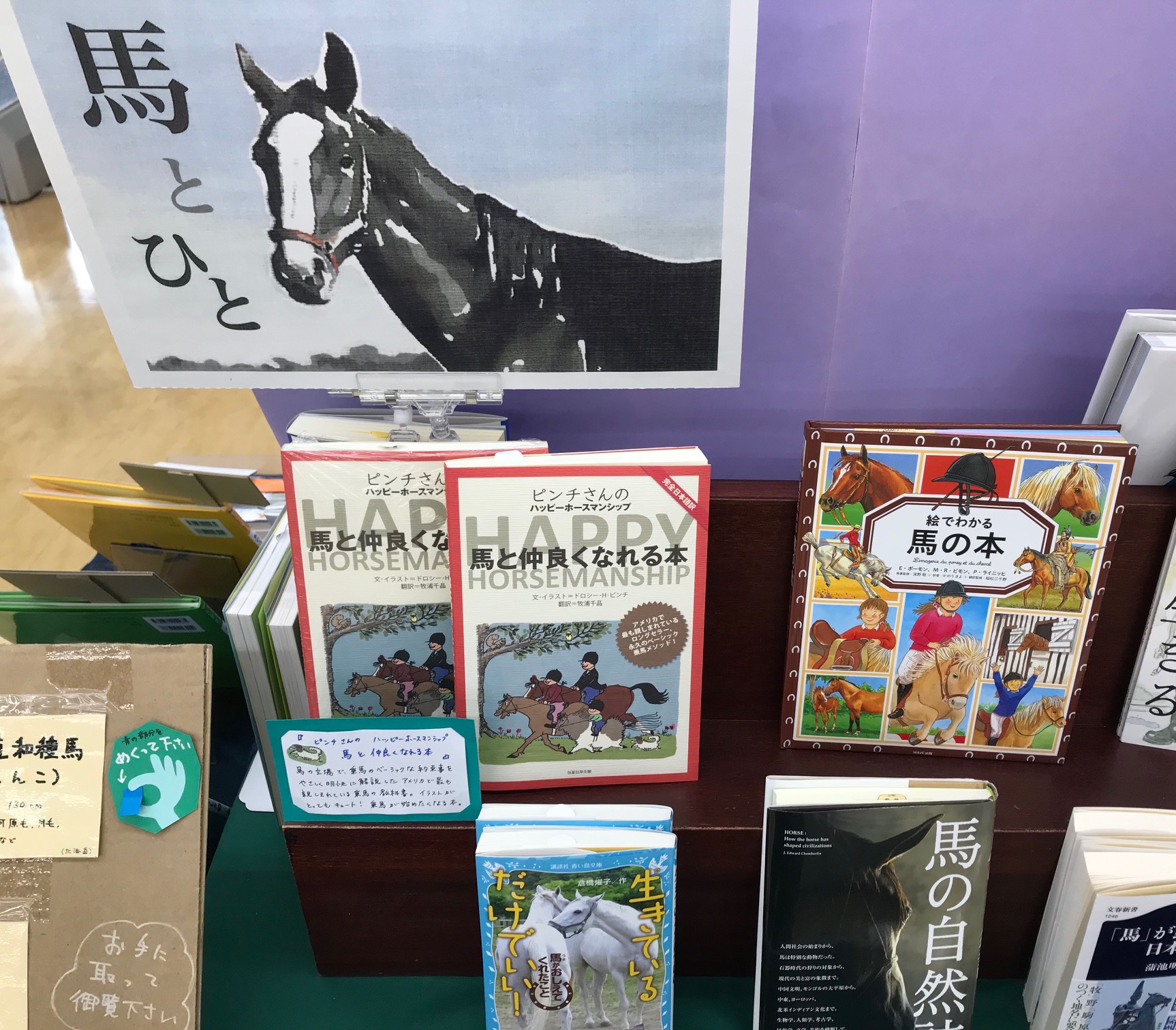 今井書店ふじみ店 キュートなイラストとユーモアたっぷりの解説で読むだけでも楽しいアメリカのロングセラー ピンチさんの 馬と仲良くなれる本 恒星社厚生閣 馬の体の構造や性質から 乗馬の際に気をつけたい事やベーシックな約束事がやさしく明解