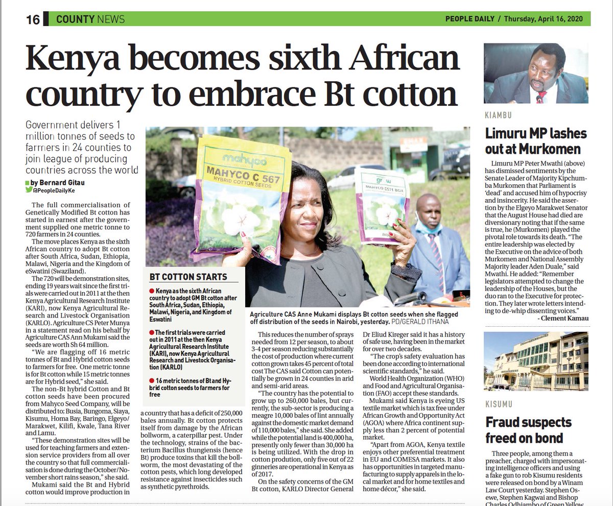annie_nyagah's tweet photo. Amidst the #COVID19 pandemic, we must be intentional and agressive in growing our #agricultureeconomy for Kenya's survival now and in the #PostCOVID era. The Kenyan Cotton industry has potential for #jobs  in meeting  demand locally and abroad. @kilimoKE https://t.co/ghUaAKQxlb https://t.co/NbjdWYYEgS