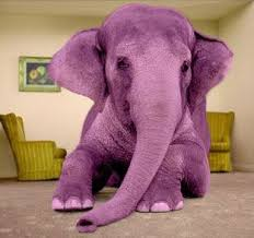  #EFFITYLER - SO WHEN YOU TELL PEOPLE STUFF THEY IMAGINE IT...SO YOU SHOULD BE CAREFUL ----- THERE IS A PURPLE ELEPHANT IN THE ROOM.