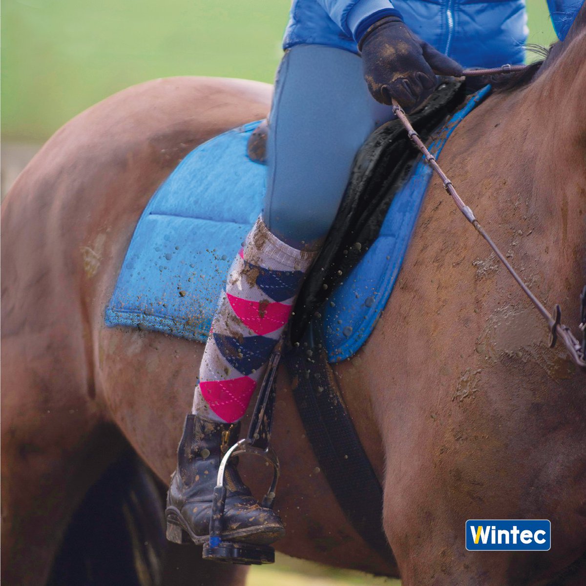 🙈The best days end with the messiest saddles! 🙈

Adventureproof, mudproof and lifeproof... relax and continue your ride knowing your Wintec will survive - no oiling or waxing required!

Winterproof saddles and accessories available at ➡️ wintec-saddles.com