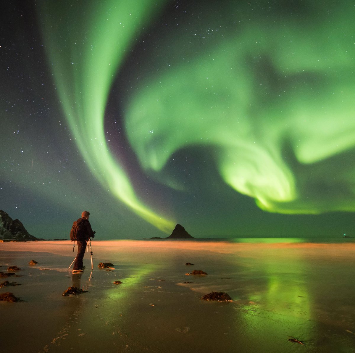 TerrePolari's tweet photo. L'inverno nelle isole #Lofoten / #Norvegia 🇧🇻 😍
"Vedere l'aurora boreale e sempre stato un mio sogno" Cosa ne pensi?

📷 Ana Mª Ortega - Viaggiatrice Terre Polari https://t.co/Tq7XnCZSi4