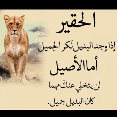 #صورة_جديدة_للملف_الشخصي