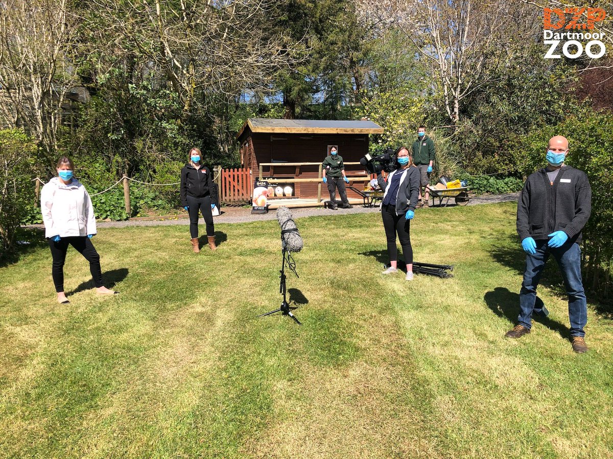 DartmoorZoo's tweet image. If you missed us on @BBCSpotlight last night, follow the link below (3 minutes 35 seconds in) to find out more about the struggles we face and what you can do to help - bit.ly/DZPSpotlight

Please donate to our emergency fund - bit.ly/DZSEmergencyAp….

Thank you 💕