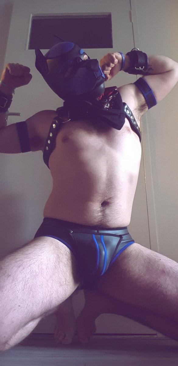 enderwuff's tweet photo. Mandatory post workout pose still going strong.
Awroooooooof.
#pupplay #humanpup #boofer #virtualsniffs https://t.co/f7rN7U0LZS