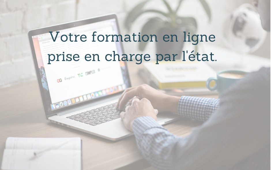 Into the Tribe tweet media