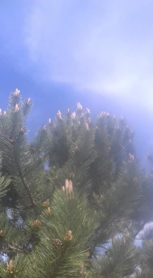 21c2co's tweet photo. #COVID19 #Blogswriting #Science #Organicfood #pollution #climatechange #Birds #Fantasy #Nature #wildlife #GlobalCitizens #Covid_19fr #OnResteEnsemble #OnVousRepond #OnOublieraPas #OnApplaudit #OnResteChezSoiAvecNos30MillionsdAmis
#RestezAlaMaison #CONFINEMENTJOUR30 papers V https://t.co/N8BXnqdCw3