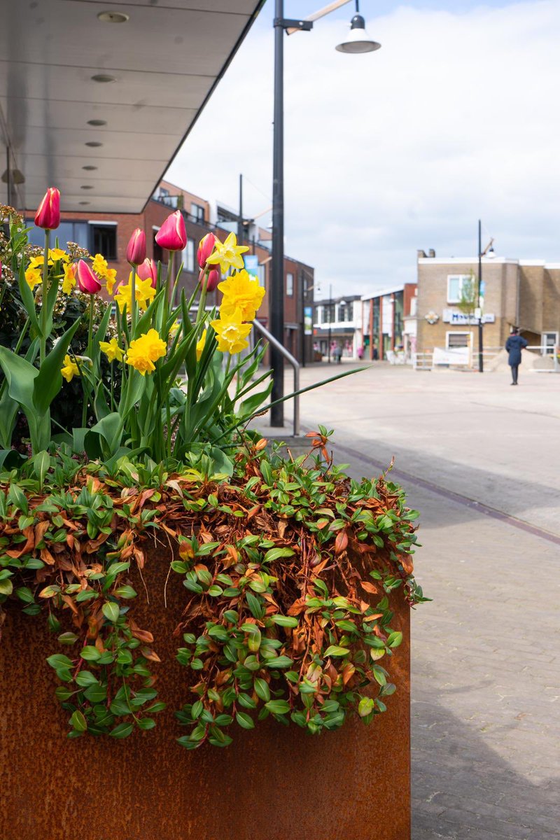 Rotary Sliedrecht tweet media