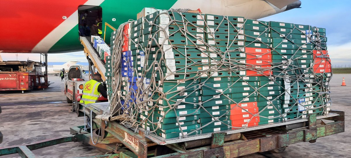 AlexChamwada's tweet photo. A @KenyaAirways plane, Dreamliner, carrying over 40,000 kilogrammes of fresh  produce about to depart for London. Part of KQ's contribution to supporting the economy amid the #covid19kenya crisis. @ChamsMedia @MKJacquie @DennisKashero @Kilavuka @KoinangeJeff https://t.co/CqJ33DhOY0