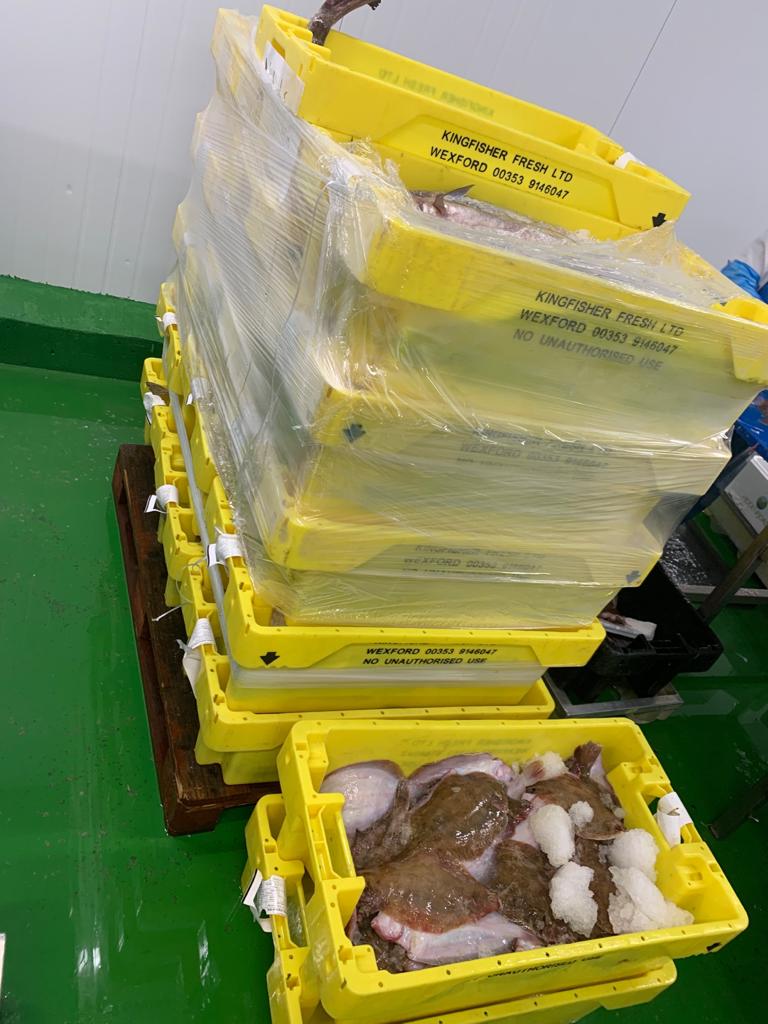 Nicks_Fish's tweet photo. Full steam ahead here ☺ 
65 boxes in to keep you fed this weekend 👍 
.
@KingfisherFresh as always keeping the supply coming from the best Irish boats. 
Regina (first pic) has been our the boss on our floor for almost 20 years! An amazingly skilled woman ☺ https://t.co/r6dhICxXhd