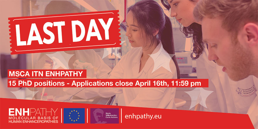 enhpathy_H2020's tweet photo. Today's the last day to apply for the @enhpathy_H2020 PhD program from ITN @MSCActions. Ambitious international students who want to work on function and mechanisms of transcriptional enhancers in human diseases, apply here: https://t.co/p6xdaoPsdl https://t.co/dfkesjVfTS