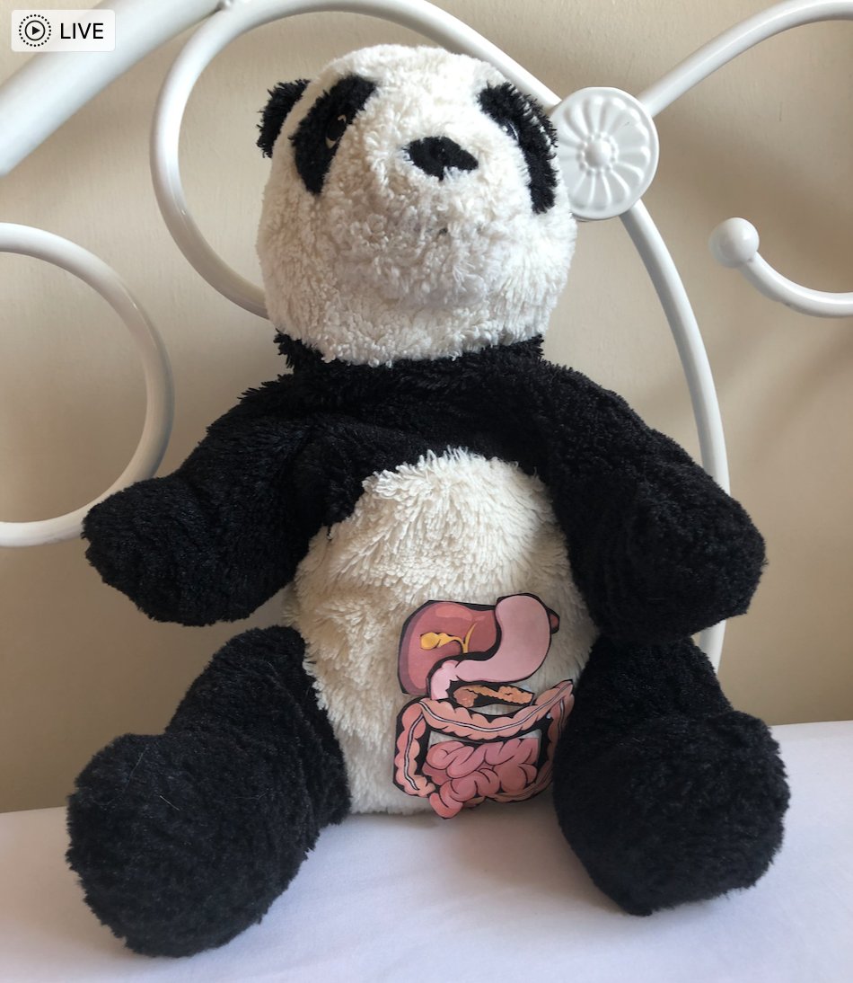 hellohelenw's tweet photo. Today we gave Panda some intestines so he can eat up all that lovely bamboo!
@maddiemoate #letsgolive https://t.co/UtuKtcVZSy