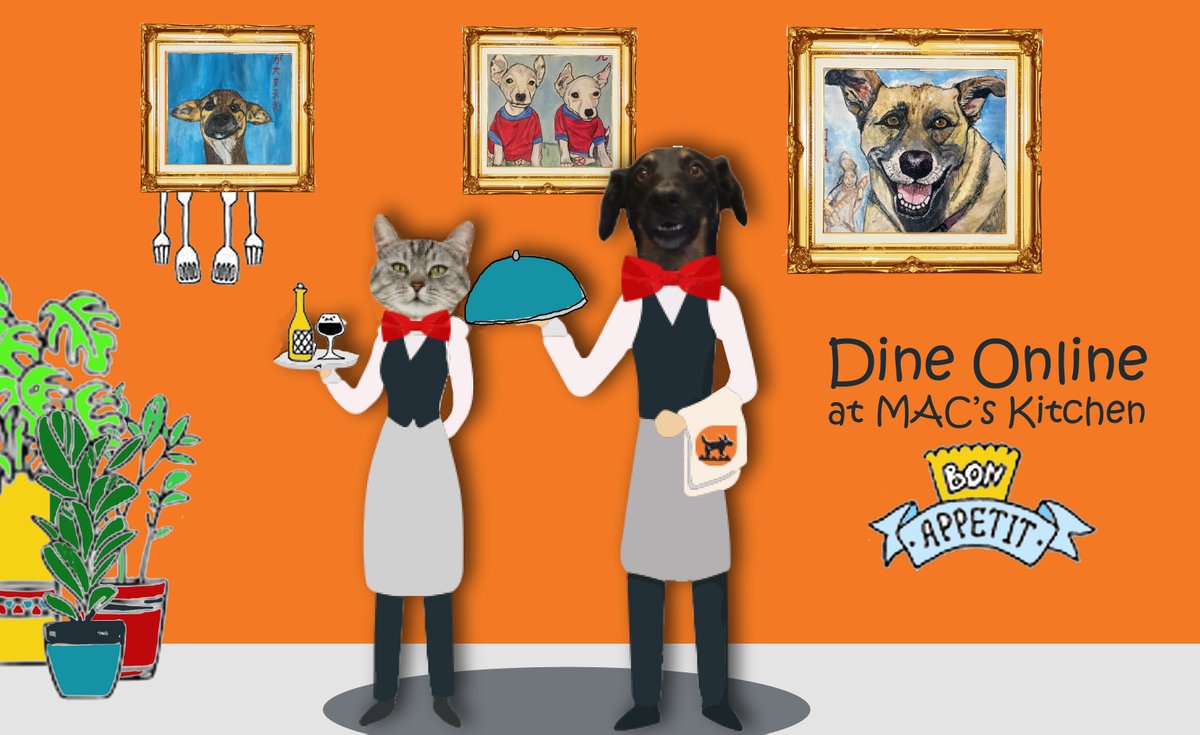 MdzanandaAnimalClini tweet media