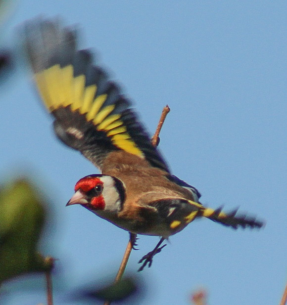 Good morning to you all on another lockdown morning and what a beautiful one it is .#StaySafe  everyone