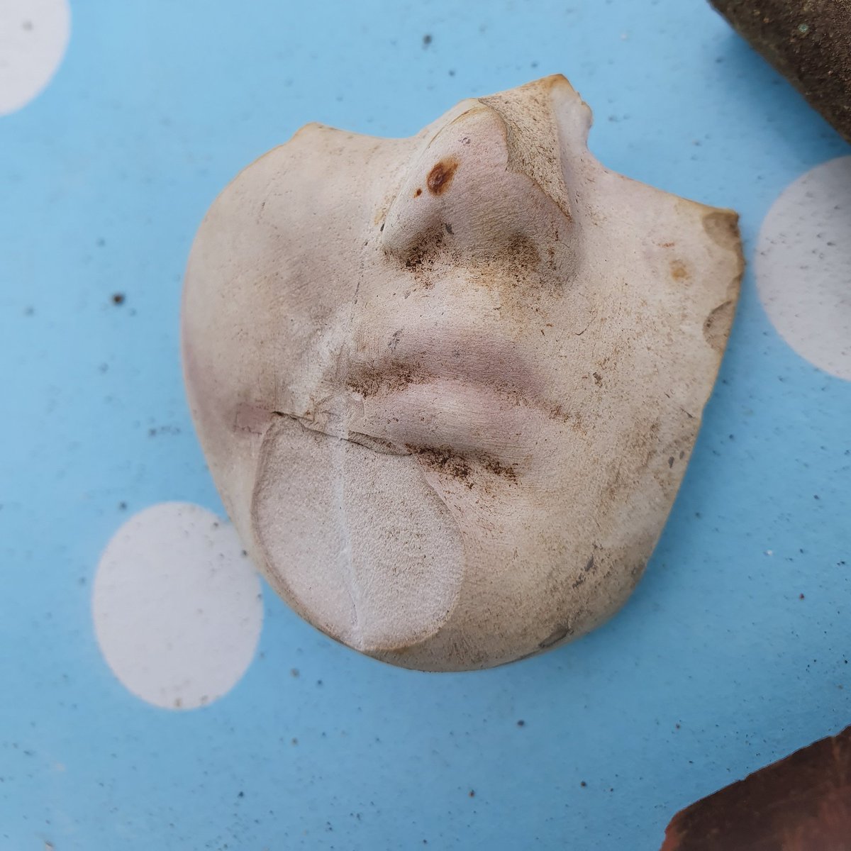 ControlTowerNC's tweet photo. Gardening at The Control Tower can sometimes be more akin to archeology... these are our recent 'finds' while landscaping new areas of the garden.
#lockdownlife #covid19 #ControlTowerProjects https://t.co/tbEDObu6Fx
