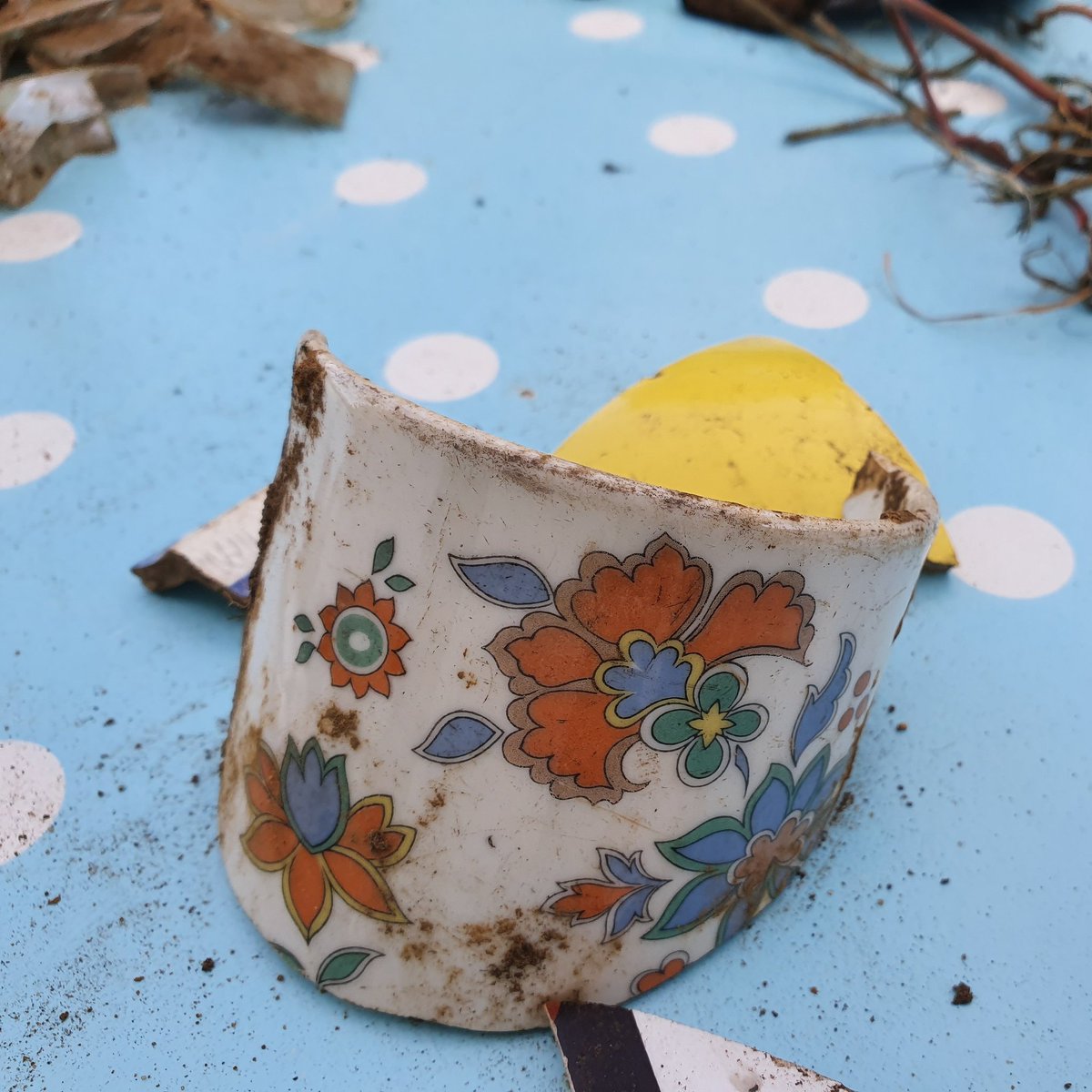 ControlTowerNC's tweet photo. Gardening at The Control Tower can sometimes be more akin to archeology... these are our recent 'finds' while landscaping new areas of the garden.
#lockdownlife #covid19 #ControlTowerProjects https://t.co/tbEDObu6Fx