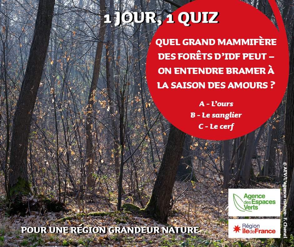 idfnature's tweet photo. 1 JOUR,1 QUIZ
Semaine de #confinement5 ! L’AEV continue de vous proposer de parfaire vos connaissances sur la nature ! Un livre sur la découverte du monde forestier sera envoyé aux 3 personnes qui auront trouvé la réponse ! L’envoi sera fait après la période de confinement. https://t.co/kezGGReadc