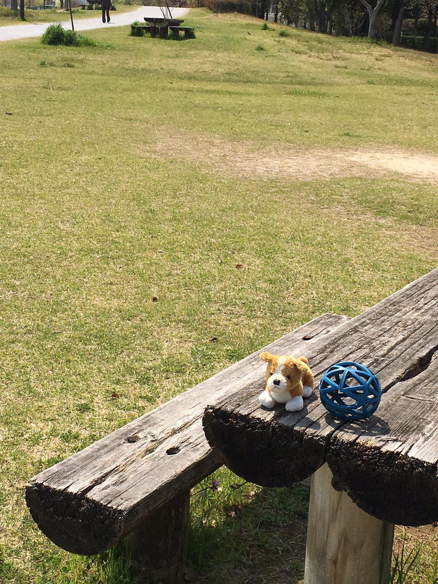ruby_peko's tweet image. ここら辺では、わんこ🐶友達と走り回っていました。