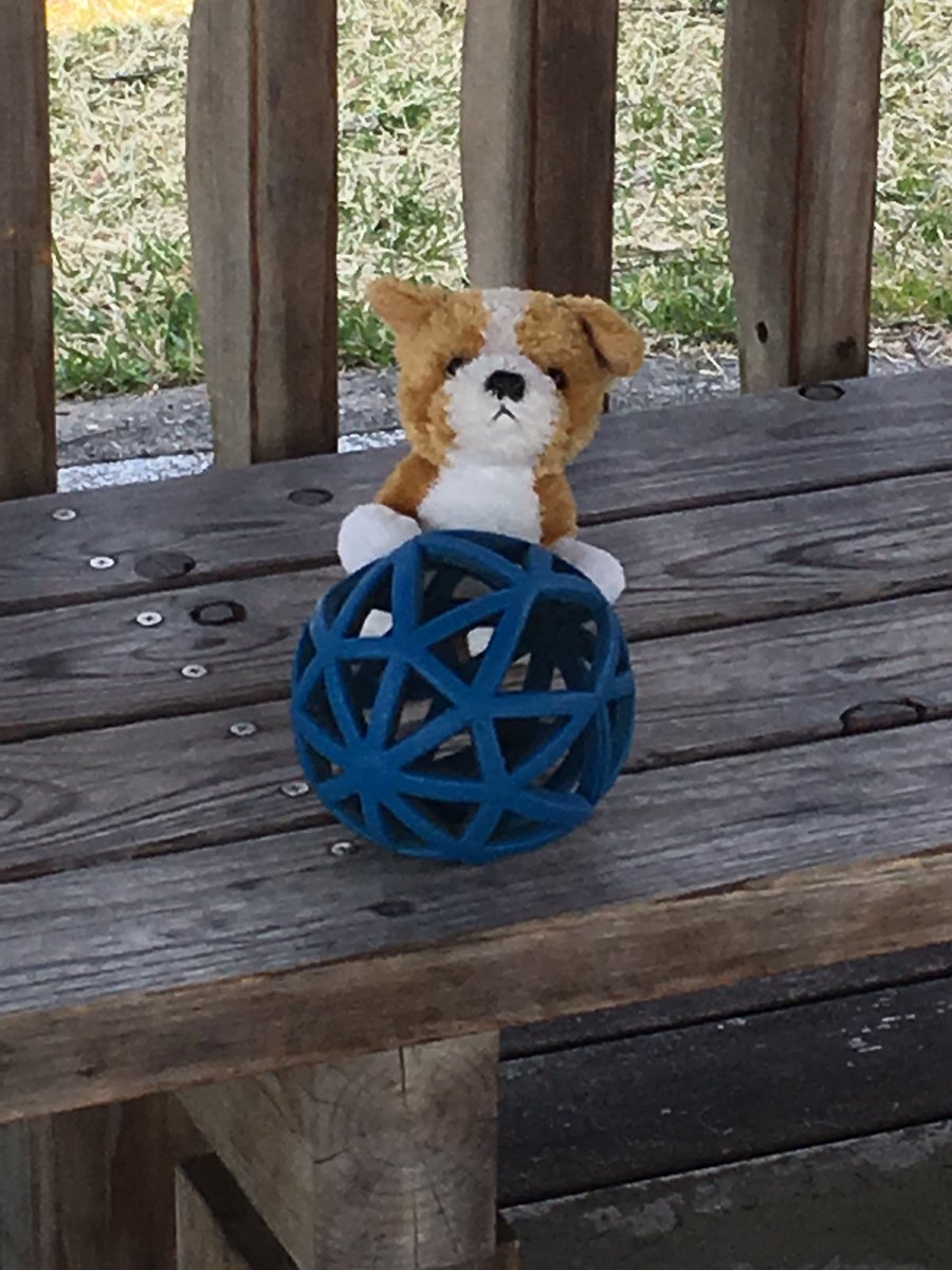 ruby_peko's tweet image. ここら辺では、わんこ🐶友達と走り回っていました。