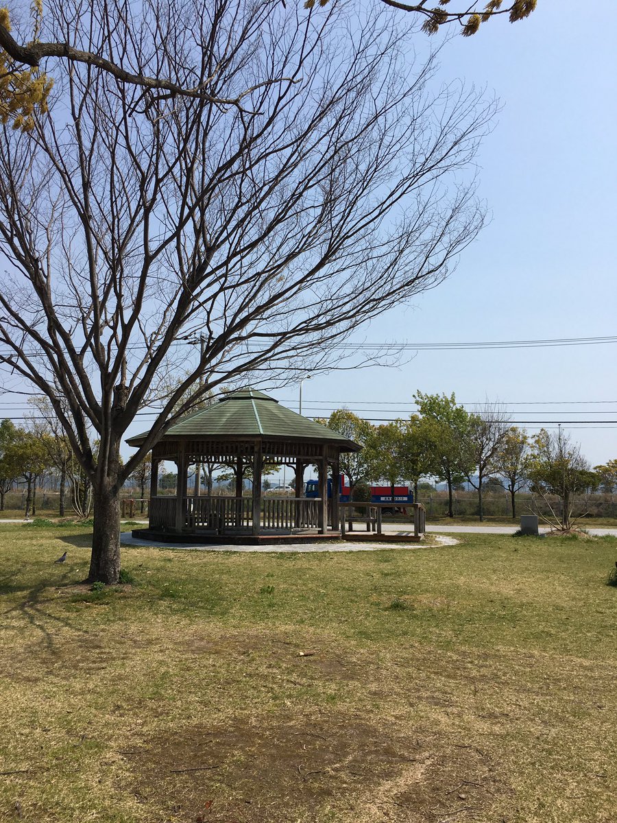 ruby_peko's tweet image. ここら辺では、わんこ🐶友達と走り回っていました。