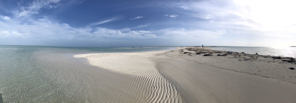 Toutes ces petites billes peuvent former de magnifiques dunes sous l'eau, ou recouvrir les plages tropicales d'une magnifique couleur blanchePhotos : Serge Andrefouet et  @RockDrCJ