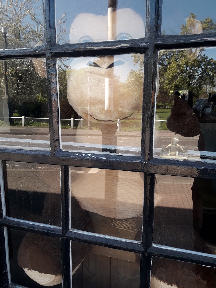 TVP_ChiltSBucks's tweet photo. Found this suspicious character looking out at us as we conducted #FootPatrol in #Burnham. Itβs tough complying with the #COVID19UK restrictions, both for little monkeys and big ones! #StayAtHome #StayStrong #InItTogether #TomorrowWillBeAGoodDay π #C9715 https://t.co/WRbLBVTQh4