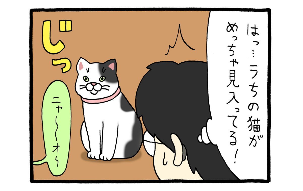 4コマ漫画レジネコ。「そのDVD…見たい!!」by店長https://t.co/jzTfcjo6gy 