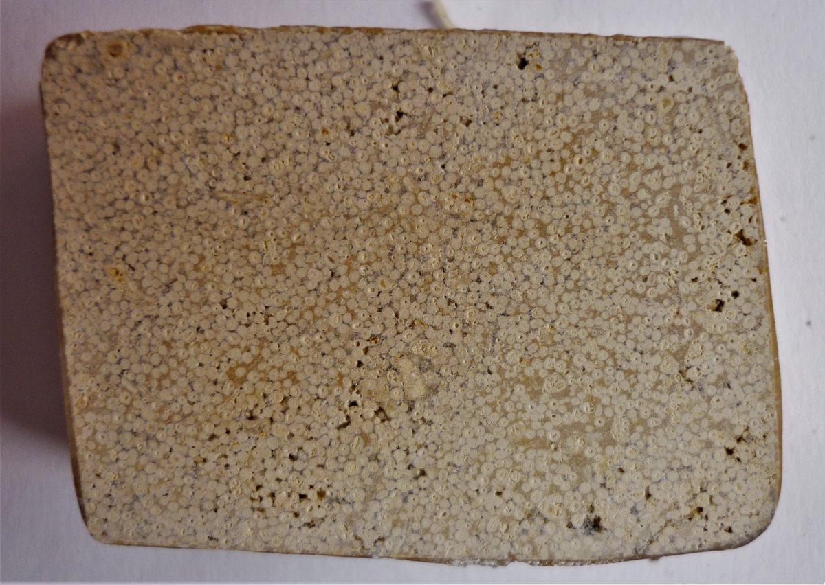 Grâce à ces roches, on sait donc que de magnifiques plages tropicales au sable blanc recouvraient un jour le Poitou ou la Bourgogne. On peut ainsi savoir à quoi ressemblait l& #39;Europe il y a 150 millions d& #39;annéesImage : Ron Blakey