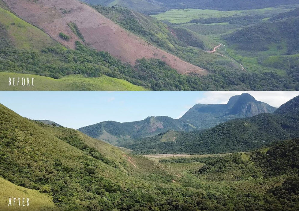 Wat een verschil 2 jaar kunnen maken!😲. In 2018 heeft Puro koffie i.s.m. het World Land Trust🌳bomen geplant in een ontbost gebied naast een van de reeds bestaande Puro regenwoudreservaten in Brazilië en zie het resultaat!😍 #koffie #ontbossing #herstel #trots #krachtvankoffie