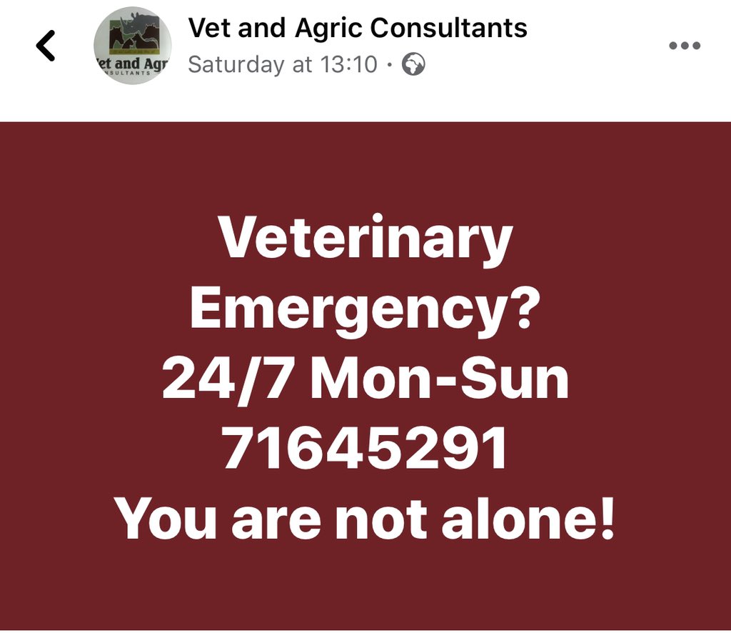 For your Pets during lock down you can contact Vet and agric consults . They do house calls during these extreme social distancing time. Their number is 71645291