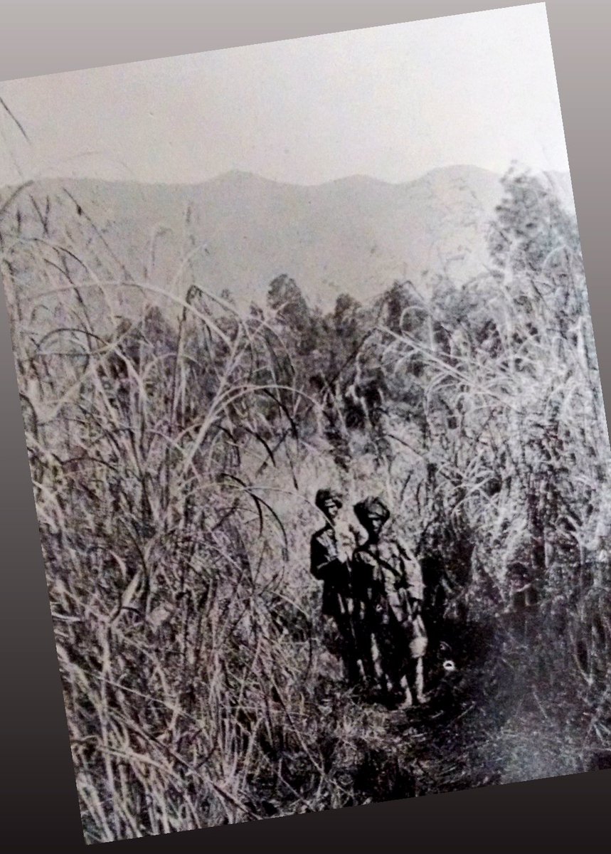 I knew I had to find out more about this fund and the man after whom it was named. And thus came about this article.(Captioned 'Forest-guards in the tiger and bear haunted jungles in which they work..', this photo taken by FW Champion in the forests of Kalagarh in the 1920s)