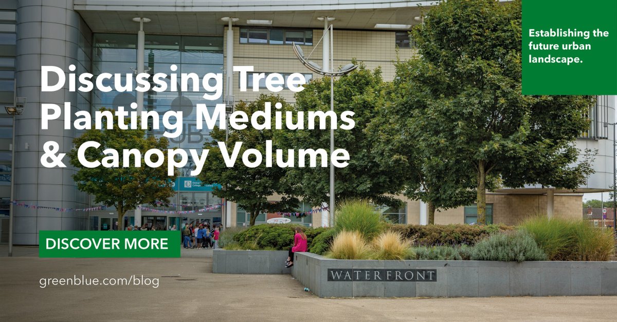 GreenBlueUrban's tweet photo. When calculating the benefits that accrue from our urban tree collections, there is a strong correlation between canopy leaf area and the benefit to humanity.
In our latest blog we discuss optimal below g... https://t.co/4IPrYDQaCI #urbantreeplanting #soilcells #AdaptingToChange https://t.co/7TgbWoFFp2