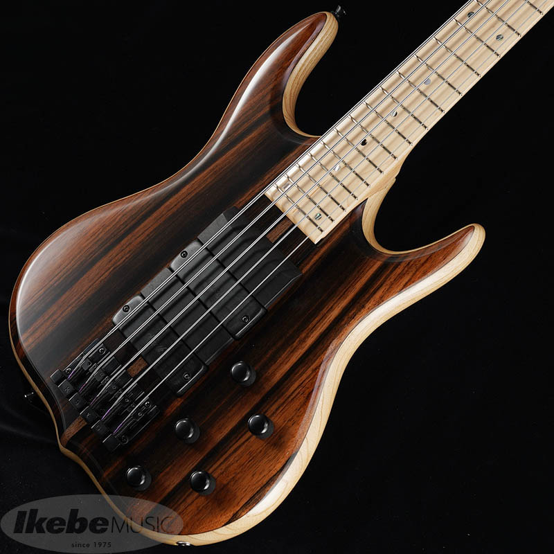 MarkBass KIMANDU5弦の純正エボニーフィンガーランプ グッバイ、フィンガーランプ - Noriaki Hosoya - 細谷紀彰の