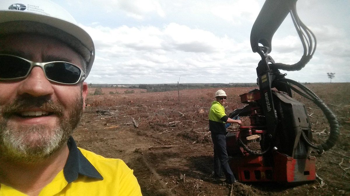 Forest Products Commission tweet media