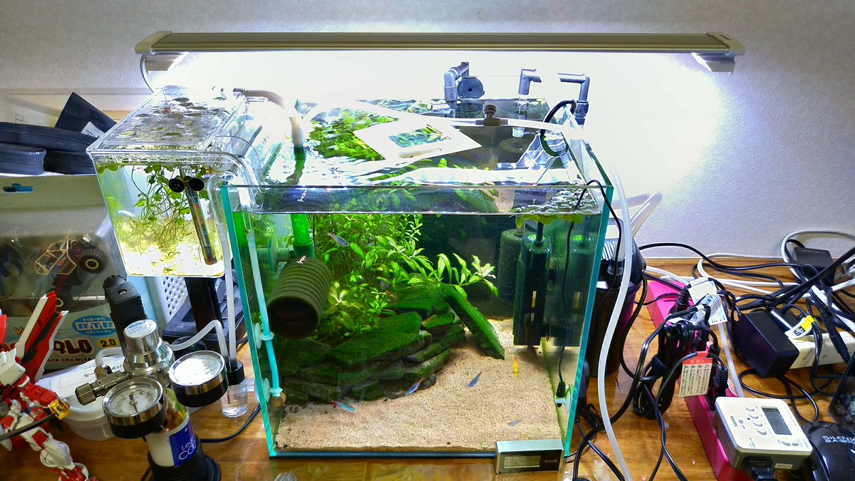 みゅう ベタ初心者 なぬー 確かに吸水が減るって書いてありましたね おすすめなのありますか